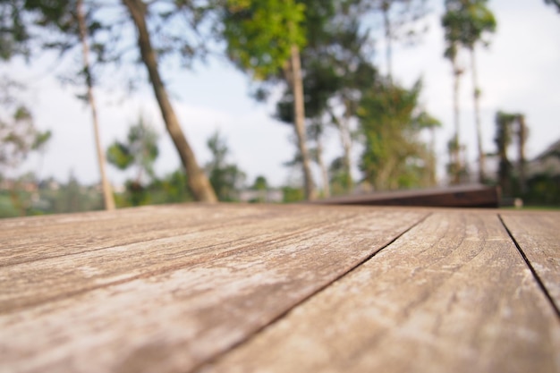 A wooden table with a plant in the background