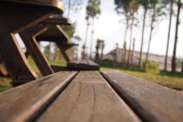 A wooden table with a plant in the background