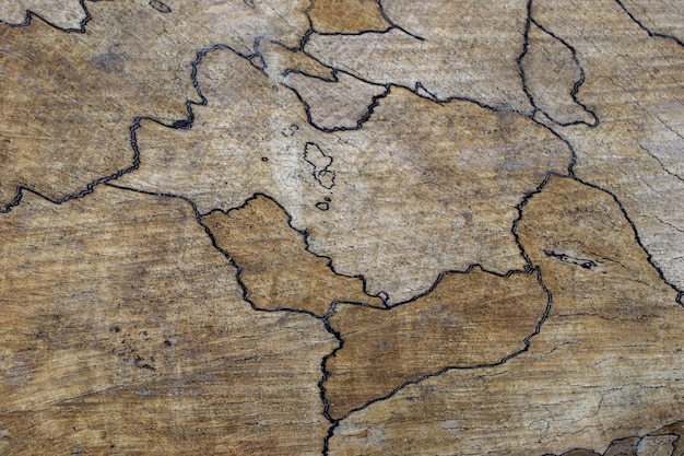 A wooden table with the word " the word " on it.