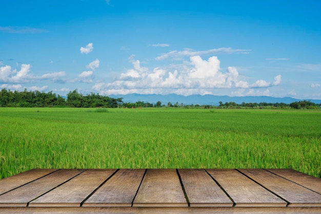 Wooden tables and a beautiful sunny day on a rice field with beautiful mountains in the background