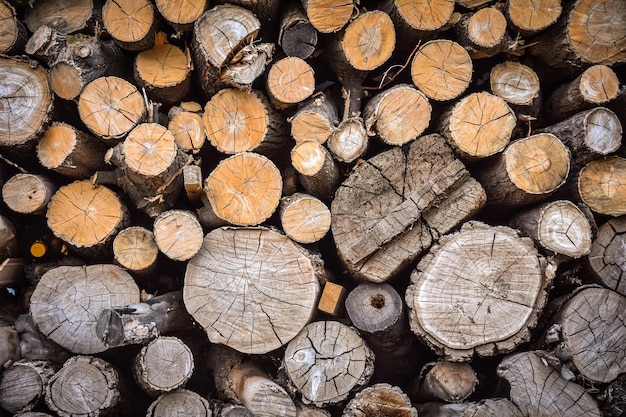 Wooden texture background of logs