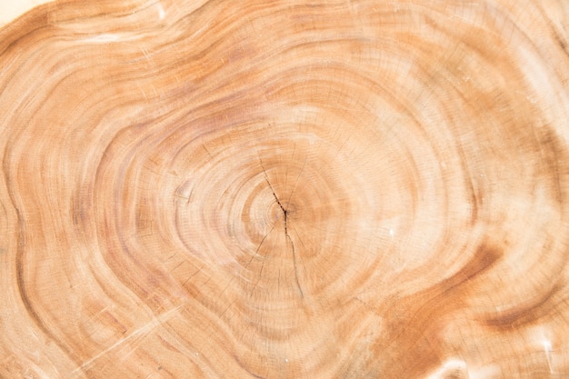 Wooden texture background