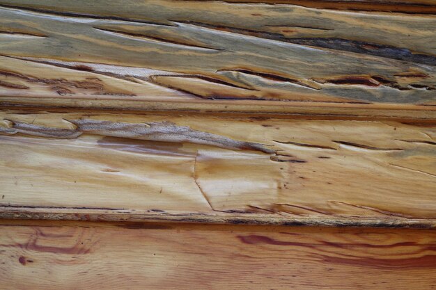 Wooden Texture BackgroundCropped Shot Of A Textured Background