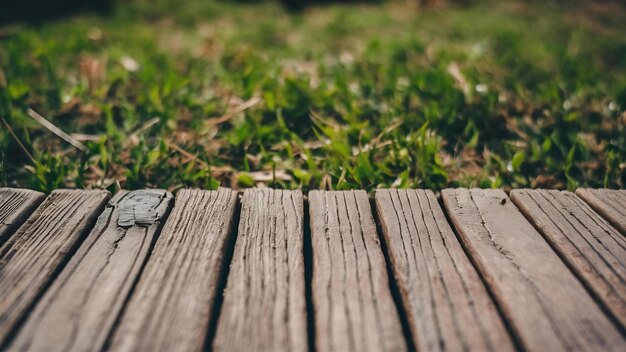 Wooden texture looking out to grass background