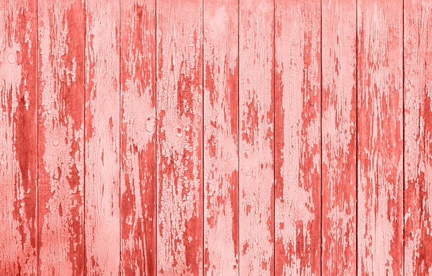 Wooden texture of popular living coral color 