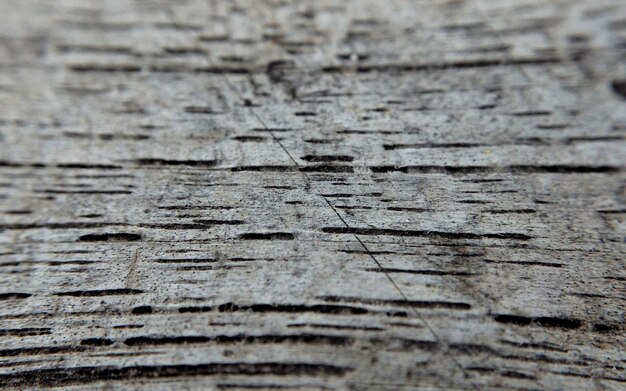 Foto texture in legno con motivi naturali come sfondo