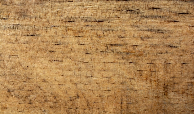 Wooden texture with natural patterns as a background