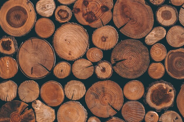 Wooden texture with pine logs