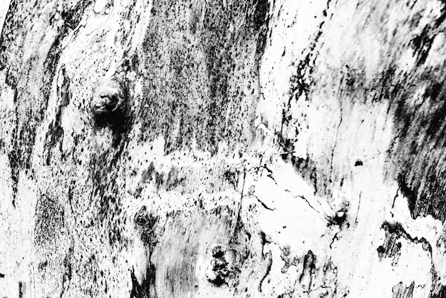 Деревянная текстура с царапинами и трещинами. Может использоваться как фон