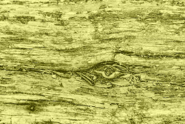 Foto struttura in legno con graffi e crepe. può essere usato come sfondo