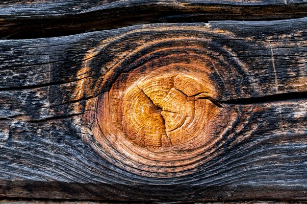 Foto struttura in legno con ramoscelli