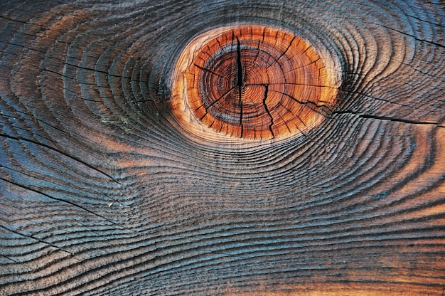 Wooden texture