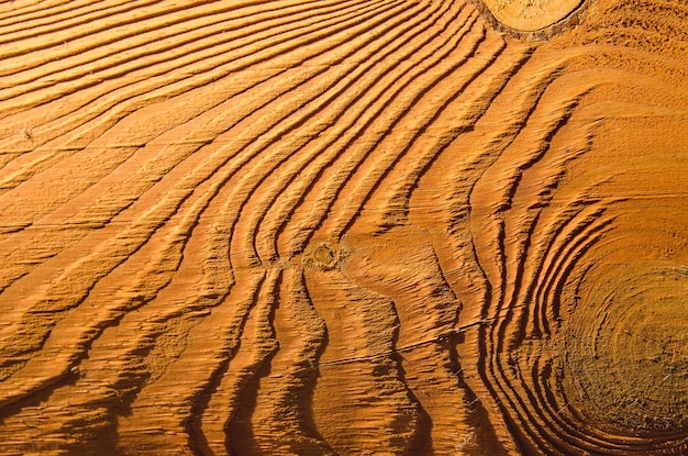 Wooden texture