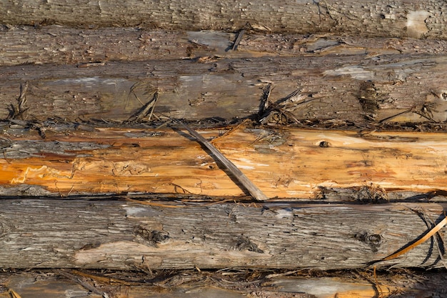 Photo wooden texture