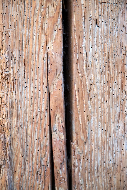 Wooden texture