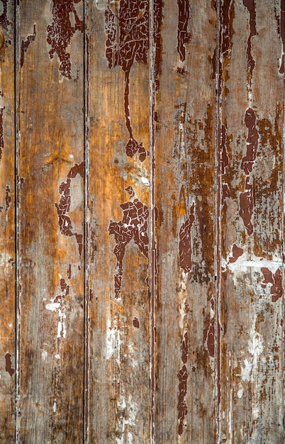 Wooden texture