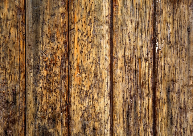 Wooden texture