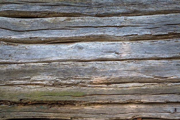 Wooden texture