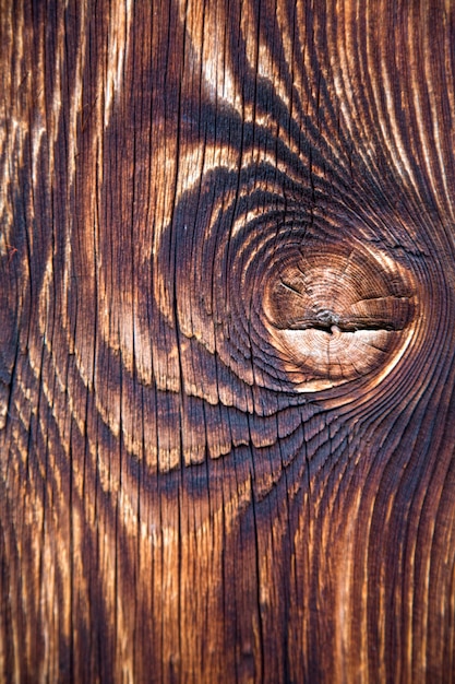 Wooden texture