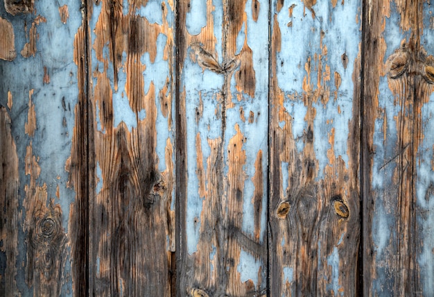 Wooden texture