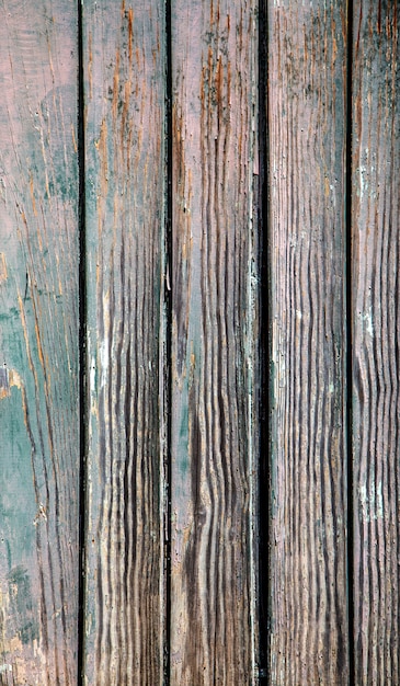 Photo wooden texture