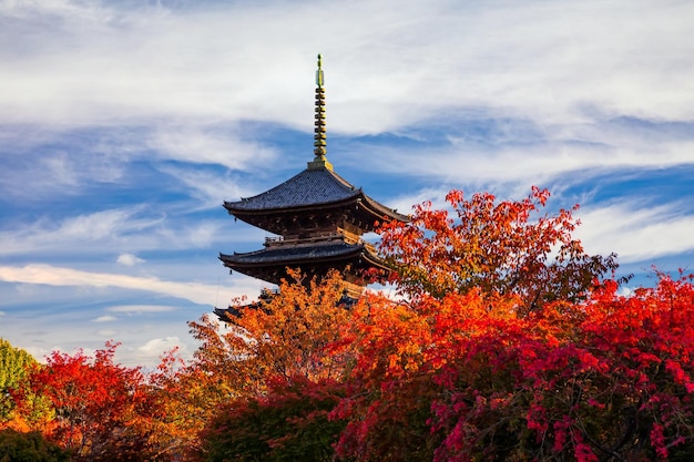 The wooden tower of Toji Temple in Kyoto at autumn