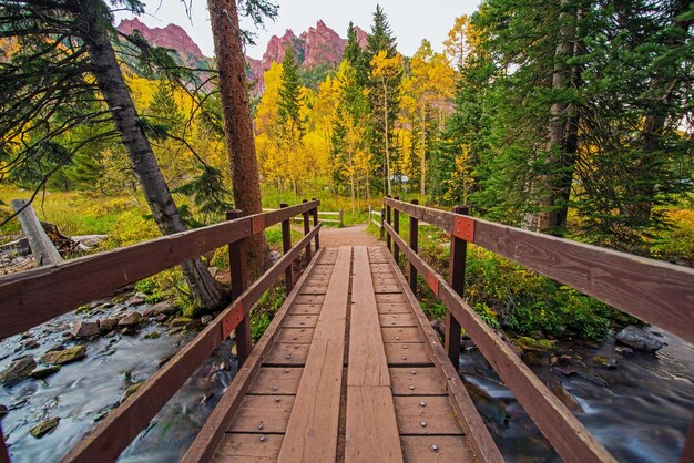 Photo wooden trail bridge