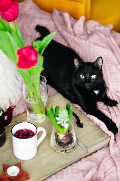 居心地の良いベッドの上にお茶、春の花、黒猫が入った木製トレイ、縦の写真。セレクティブフォーカス。高品質の写真