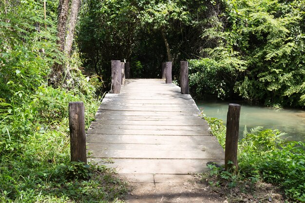 Wooden walkway bridge