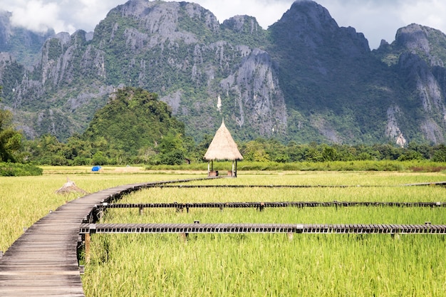 목조 산책로 및 쌀 필드에 오두막