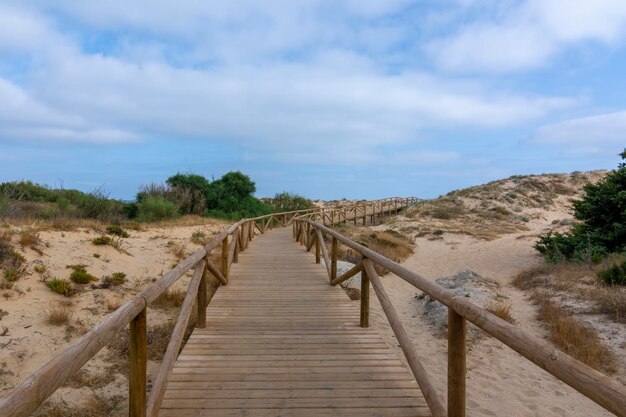 Wooden walkway through the dunes of access to the beach of Cadiz