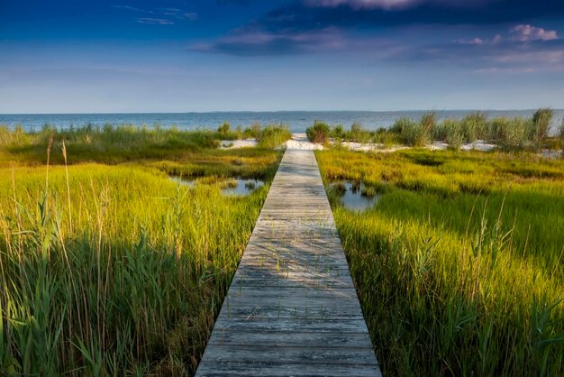 Wooden walkway through the marshes to the beach