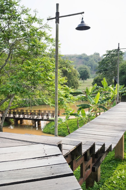 Wooden walkway to tropical garden