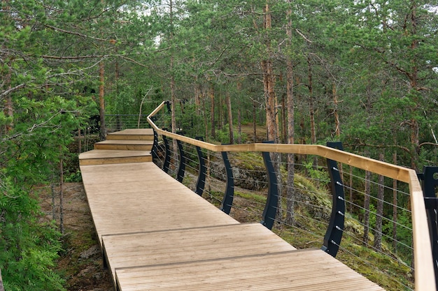 Wooden walkways on the tourist route in the nature park