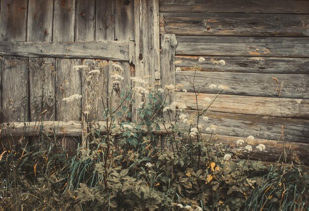 Foto parete in legno del vecchio fienile in campagna