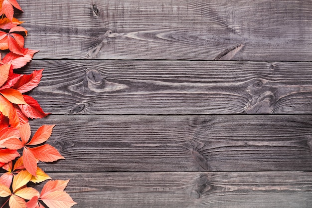 Wooden wall with leaves of wild grapes.