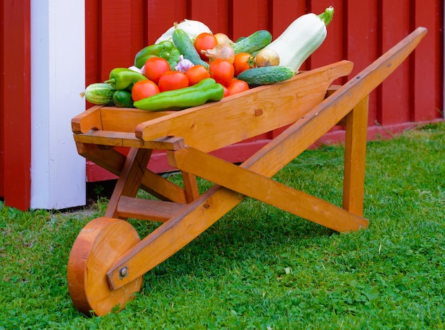 Wooden wheelbarrow full with fresh vegetables scandinavian house in background.