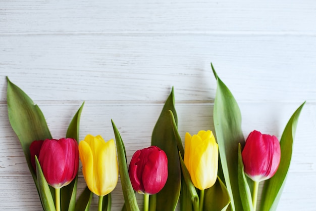 Wooden white background and red and yellow tulips. 