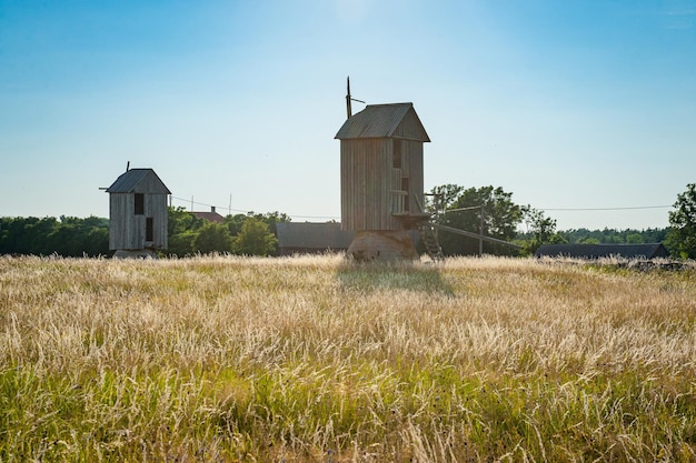 Wooden windmill on background field and sky The island of Vilsandi Estonia