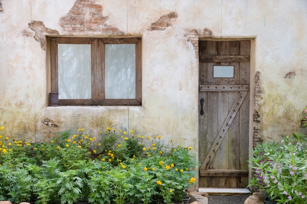 Wooden window and door on old wall