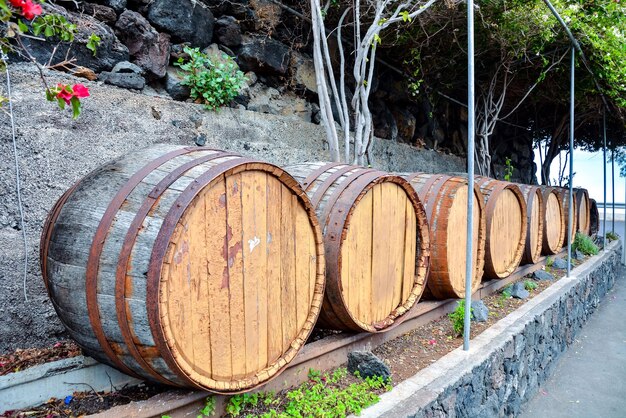 Photo wooden wine barrel