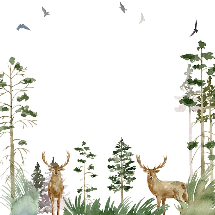 Photo woodland frame watercolor forest with deers