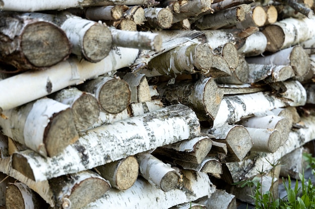 Woodpile of birch firewood lying in rows on a green grass.