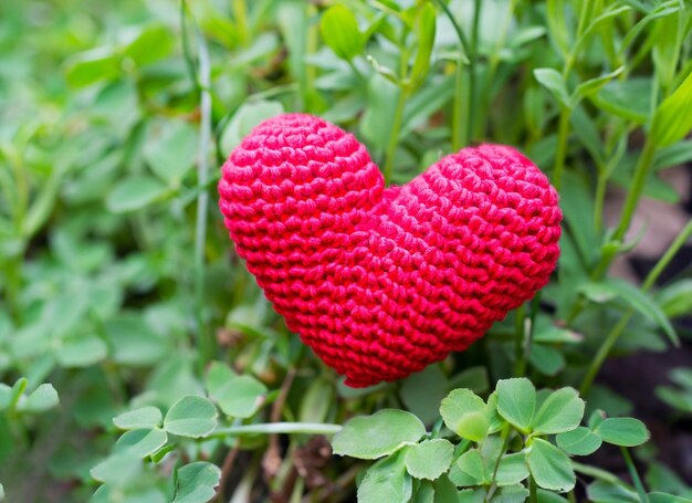 Wool fumigator in the garden red heart