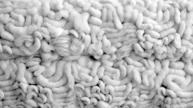 wool texture