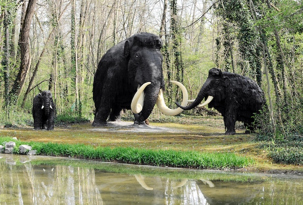 Wooly Mammoth Family in de buurt van Shoreline