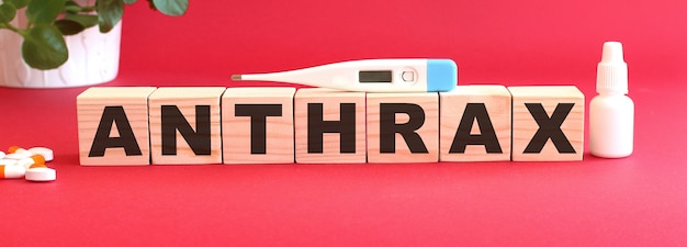 The word ANTHRAX is made of wooden cubes on a red background with medical drugs.