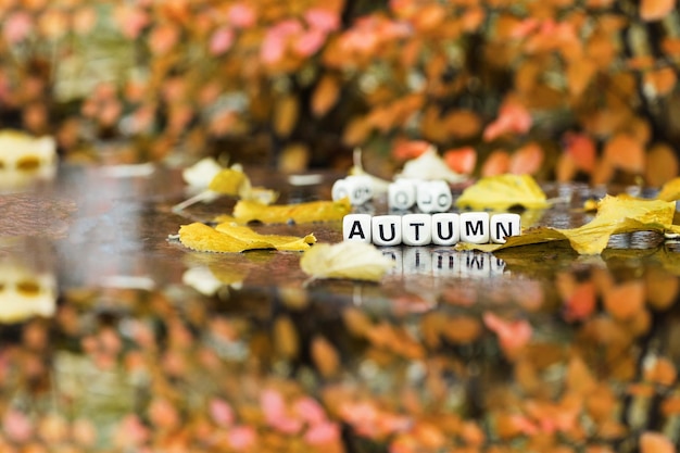 Word AUTUMN is composed of wooden letters. Closeup