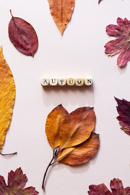 가을 단풍과 분홍색 테이블에 나무 큐브로 만든 단어 AUTUMN