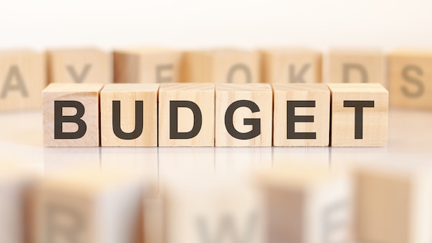 Word budget is written on wooden cubes standing in a row. around the blocks with letters on a light background. can be used for business and financial concepts. selective focus.